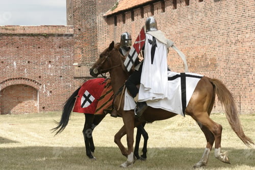 Preview: Knight on horse