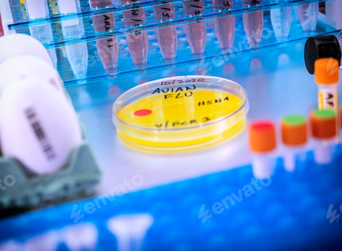 Preview: Avian Flu Research in a Laboratory Setting