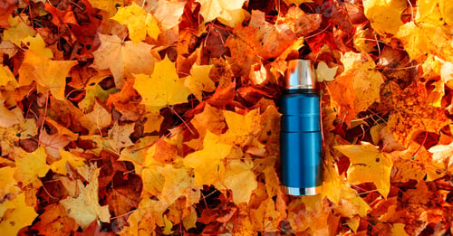 Preview: The thermos lies on the autumn foliage. Copy space. Metal vacuum thermos
