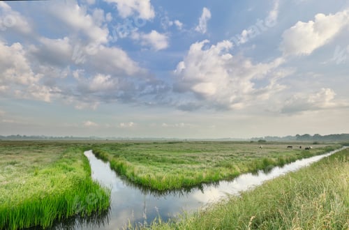 Preview: green pastures , beautiful sky and river