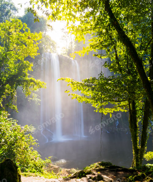 Preview: Misol Ha Waterfall Forest