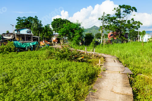 Preview: Walkway in countryside