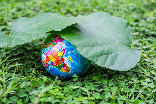 Preview: Globe or earth under green leaves