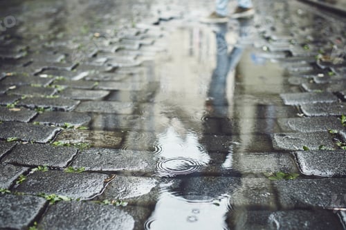 Preview: Reflection in puddle