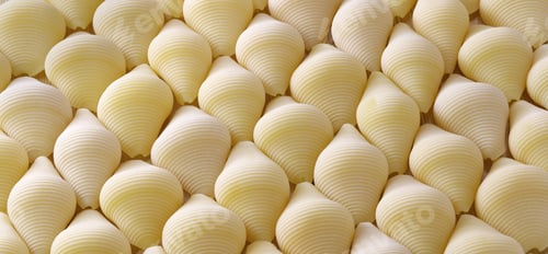 Preview: conchiglioni, italian jumbo shell pasta