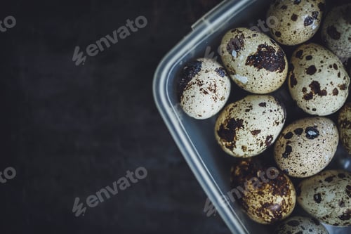 Preview: Quail eggs in a plastic bowl