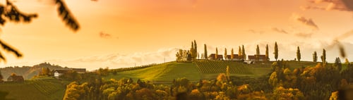 Preview: South styria vineyards panorana, Tuscany of Austria. Sunrise in autumn