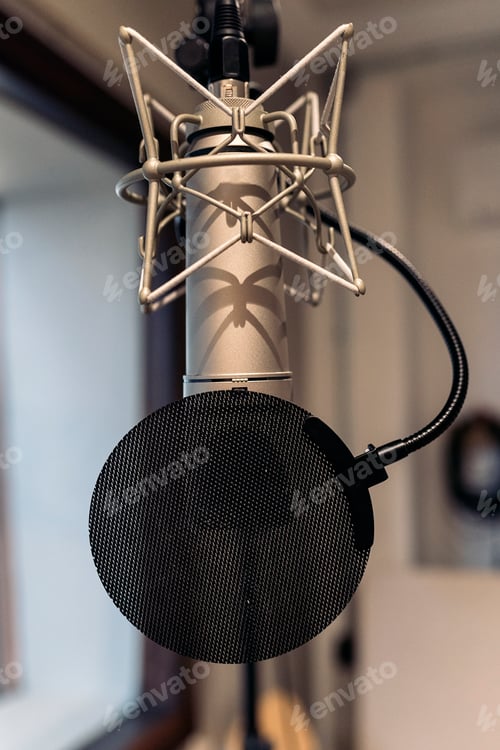 Preview: Isolated Professional Microphone