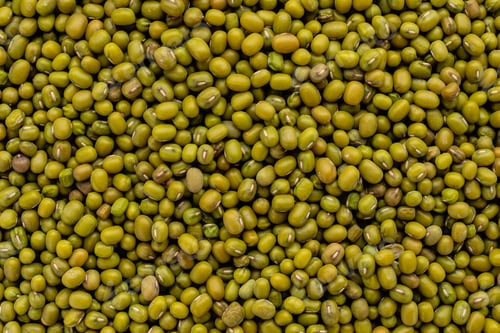 Preview: Lentil in a white saucer on a gray concrete background