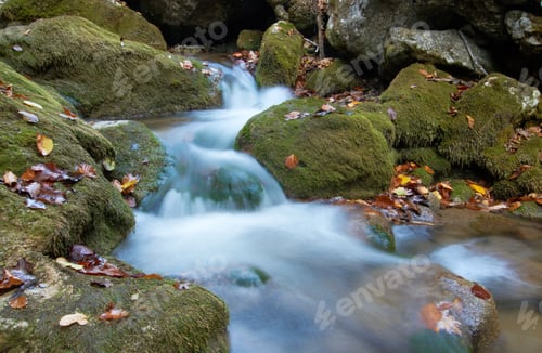 Preview: Cascades on a clear creek in a forest