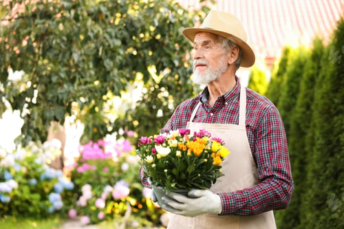 Preview: Elderly man in hat with potted flowers in garden. Space for text