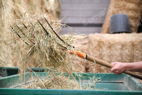 Preview: Close up of a farmers hand using a fork to load the wheelbarrow with hay.