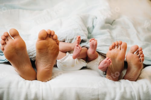Preview: the feet of parents and young children under the blanket. Mom and dad with children lie under a