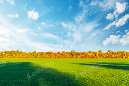 Preview: An autumn landscape featuring a lush green field, golden-hued trees and a majestic sky