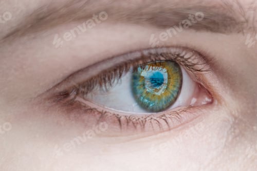 Preview: Female eye with green iris and long natural eyelashes close up