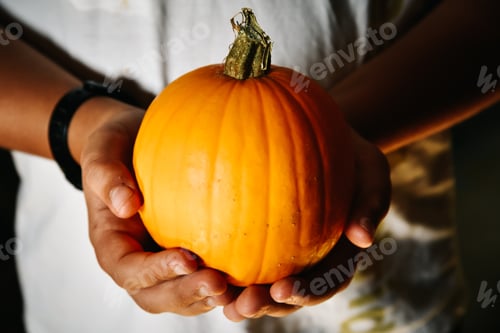 Preview: Close up of child hands holding a pumpkin