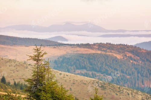 Preview: Carpathian mountains