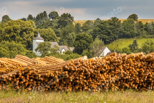 Preview: Piles of Wood Timber Trunks at a Lumber Yard in Germany