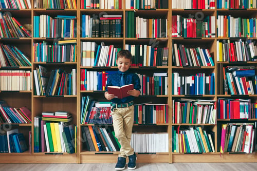 Preview: Boy in library