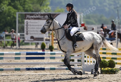 Preview: Show Jumping