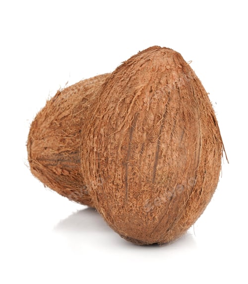 Two Fresh Coconuts Isolated on a White Background