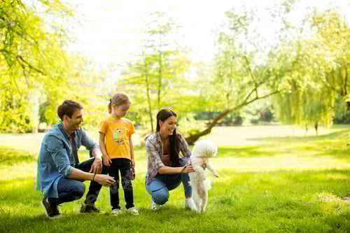 Visualização: Linda família feliz está se divertindo com cachorro bichon ao ar livre