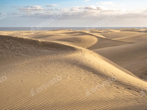 Preview: Famous natural park Maspalomas dunes in Gran Canaria at sunset, Canary island, Spain