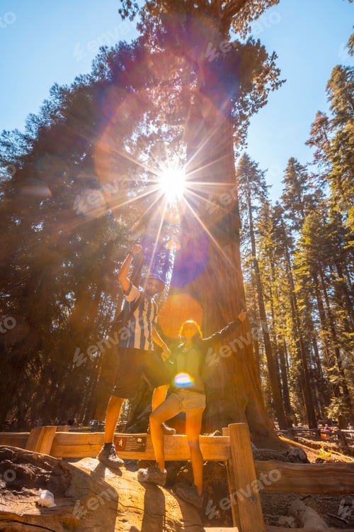 Preview: A couple in the giant General Sherman Tree tree in Sequoia National Park
