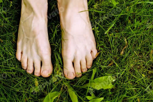 Preview: Women's feet on the green grass.
