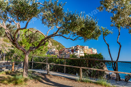Preview: Manarola in Cinque Terre, Italy