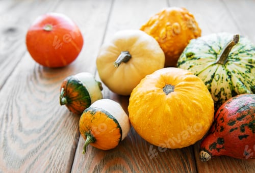 Preview: Pumpkins on a wooden background