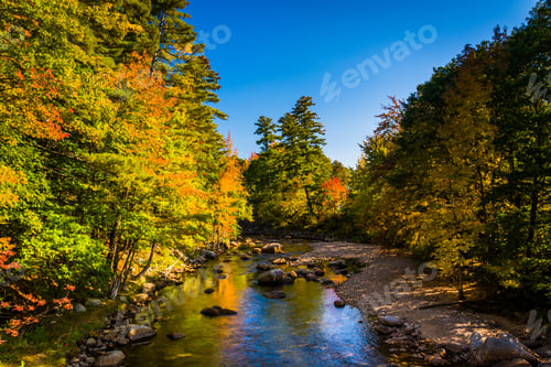 Preview: Early Autumn Color Along The Swift River In Conway, New Hampshire.