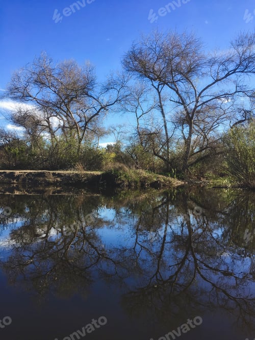 Preview: Amazing day on the San Diego River