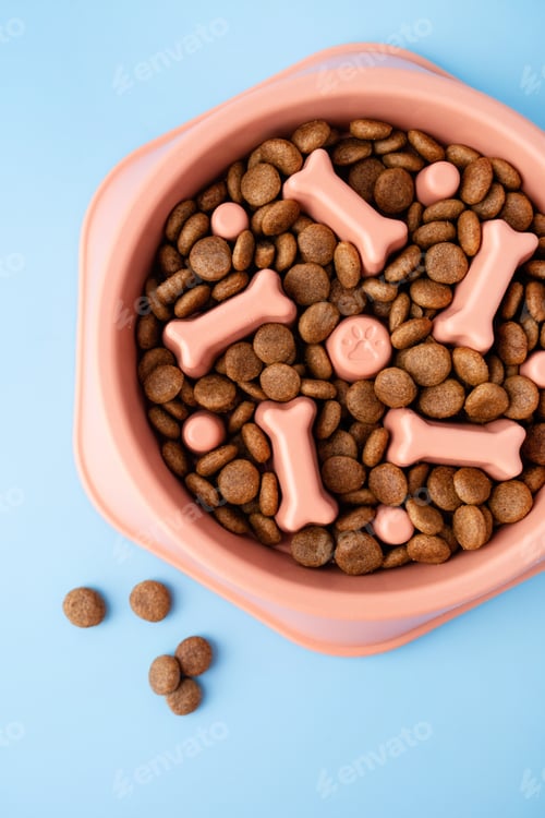Preview: Cat and dog orange slow Feeding Bowl on blue background