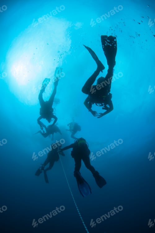 Preview: Silhouetted Scuba Divers Return to Surface