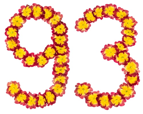 Preview: Numeral 93, ninety three, from natural flowers of primula, isolated on white background