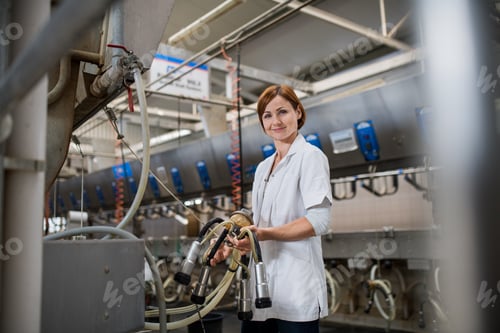 Preview: Woman manager on diary farm, milking technology in agriculture industry