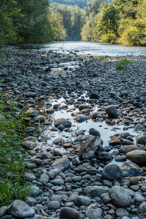 Preview: A Macro Shot Of Rocks On The Shoreline Of The Green River In Washington State.