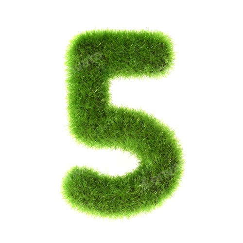 Preview: Grass "5" Number, Isolated On White Background.