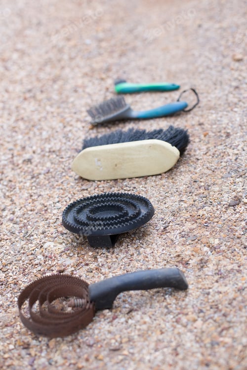 Preview: different types of brush for grooming horses. animal equestrian hair clean care. closeup equipment