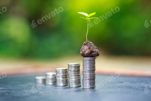Preview: Saving money for wealth and growth of business income for rich invest plan concept.