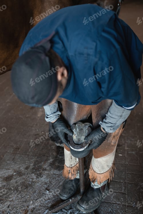 Preview: Busy European blacksmith in work clothes shoves back hoof of brown horse