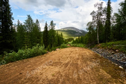 Preview: Scenic view of a dirt road surrounded by lush pine trees. Yllastunturi, Lapland, Finland.