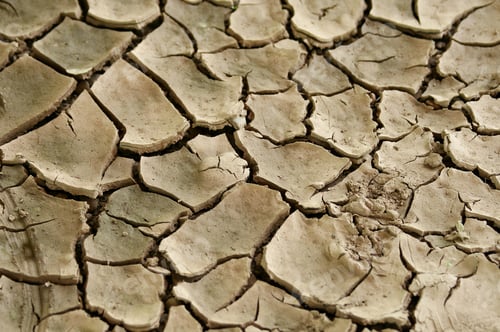 Preview: cracked earth