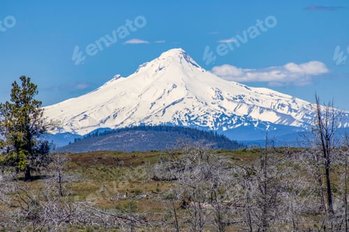 Preview: The snow-capped landscape of Mount Jefferson under a clear blue sky.