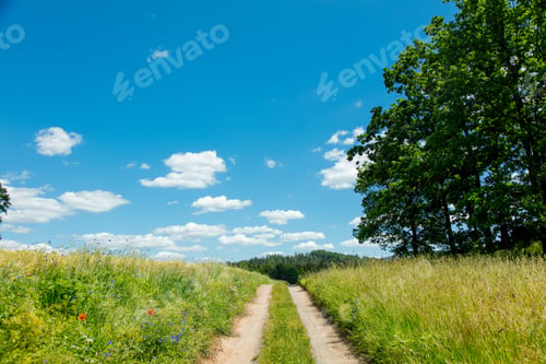 Preview: View on countryside road with clouds on background in South Poland