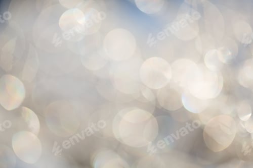 Preview: winter nature with snow and ice in blur. blurred background with abstract bokeh gray blue color