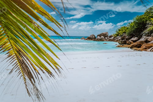 Preview: tropical La Digue Island Seychelles, white beach with granit rocks and palm tree