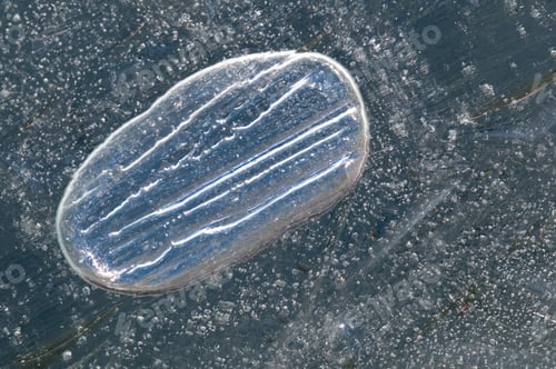 Preview: Air Bubble in Ice