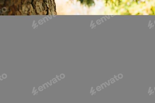 Preview: Cute little girl is playing outdoors